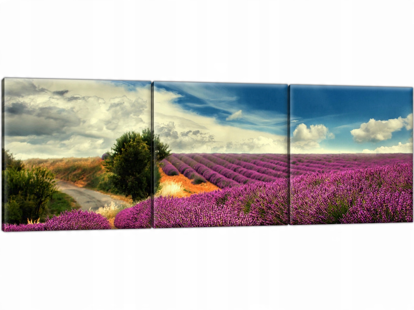 

Lawenda Pole Lawendy 150x50 Łąka Obraz Tryptyk