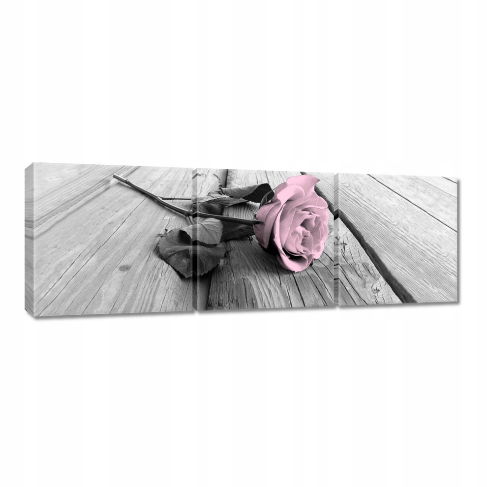 

Obrazy 120x40 Pudrowy róż Old pink Rose