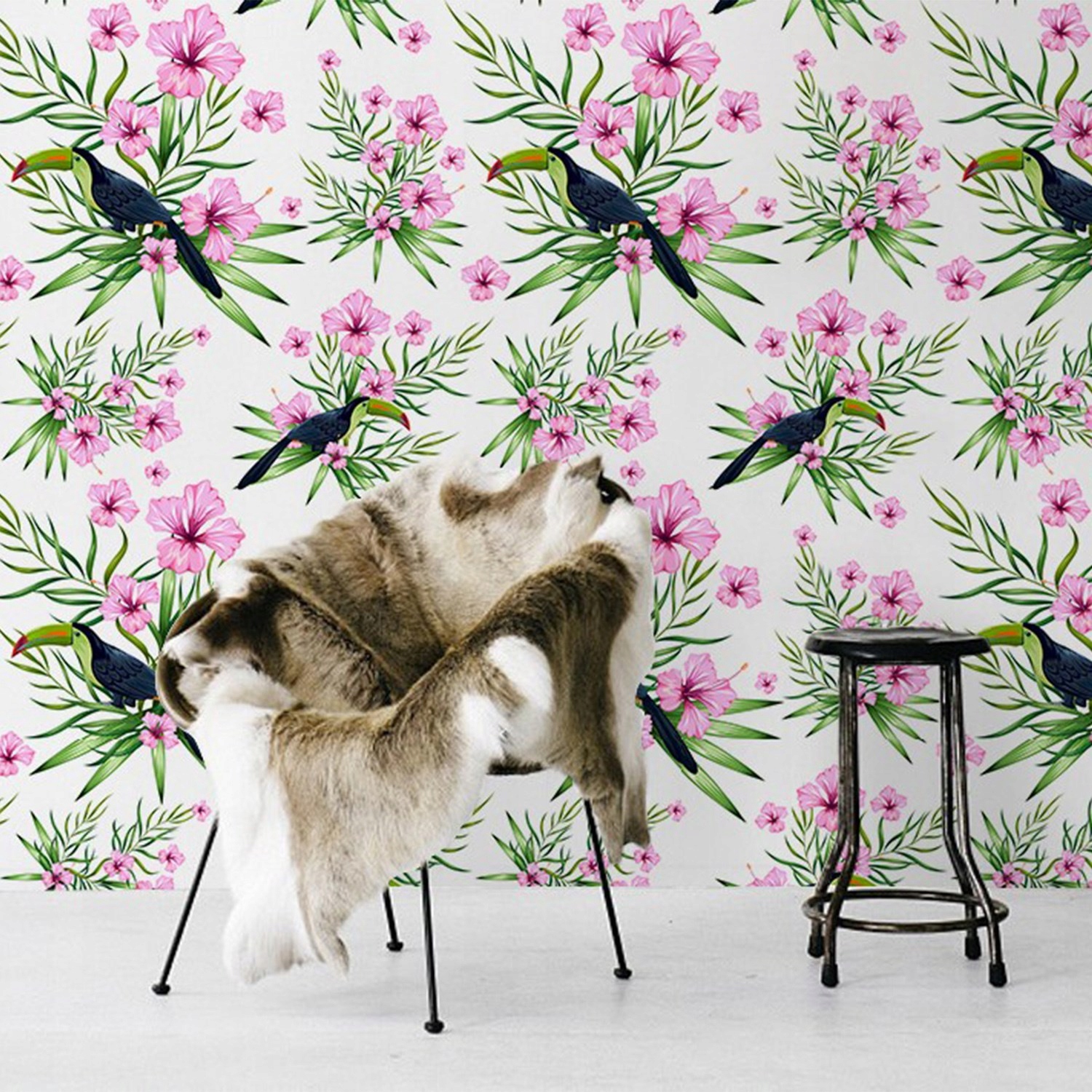 

Samoprzylepna fototapeta Kolorowe tukany 104x70cm