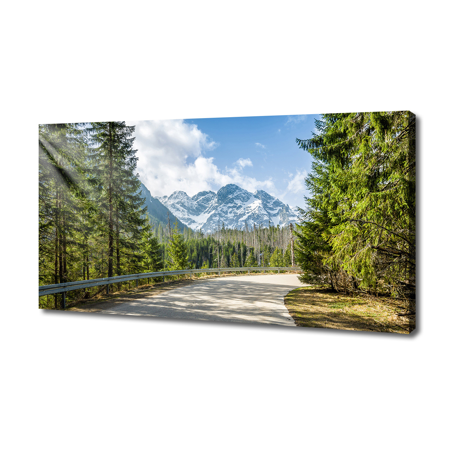 

Foto obraz canvas na ścianę Droga Tatry 140x70 cm