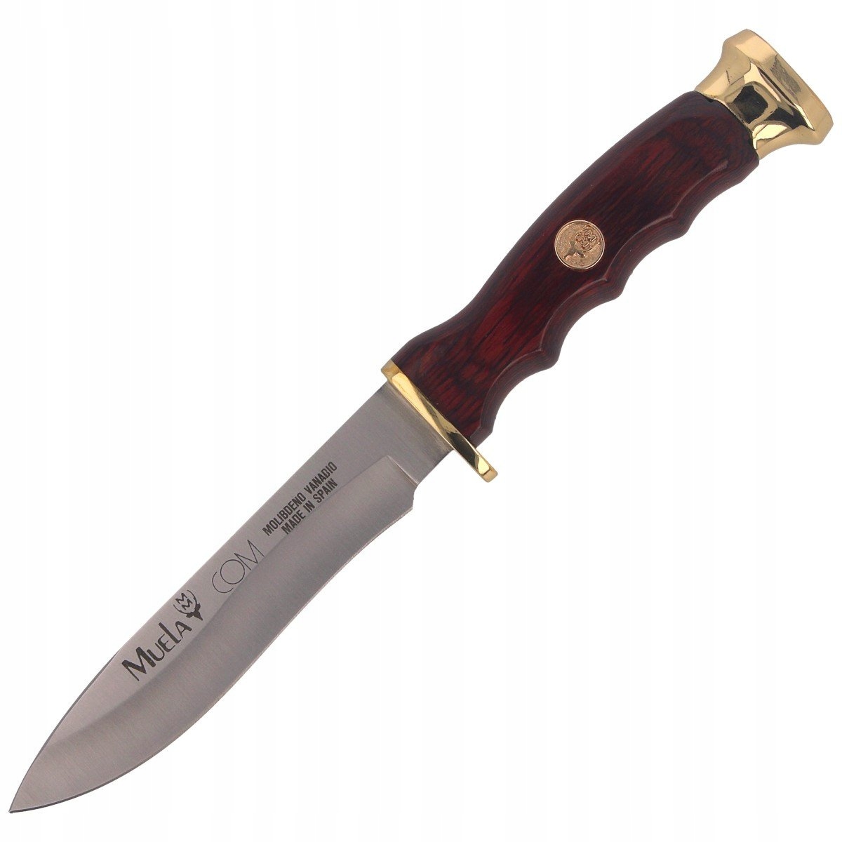 Nůž Muela COMF-10 Nerezová ocel X50CrMoV15 Kožená pouzdro