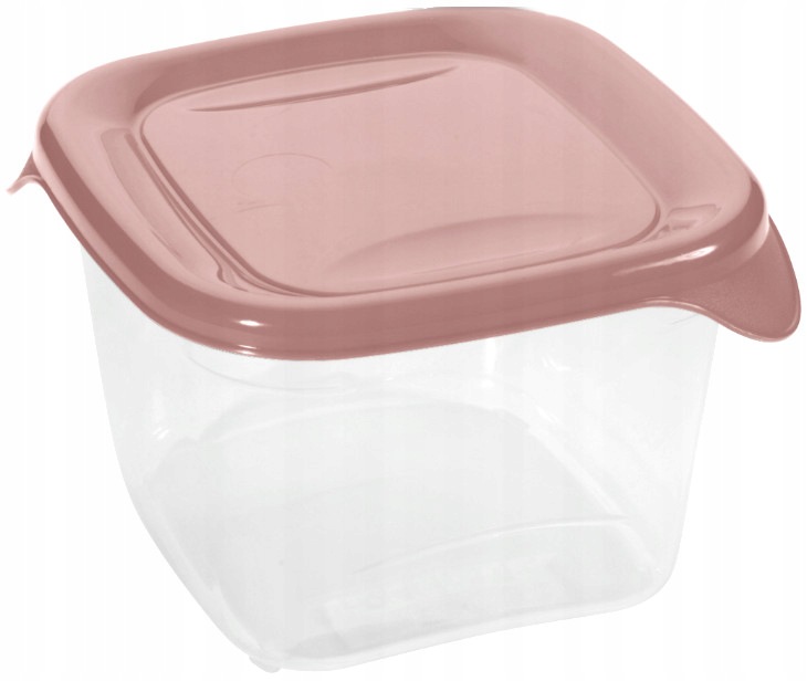 Curver Pojemnik na żywność Fresh & Go do przechowywania kwadratowy 0,45L