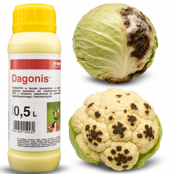 Oprysk Grzybobójczy Na Choroby Kalafiora Kapusty Brokuła Dagonis 500ML