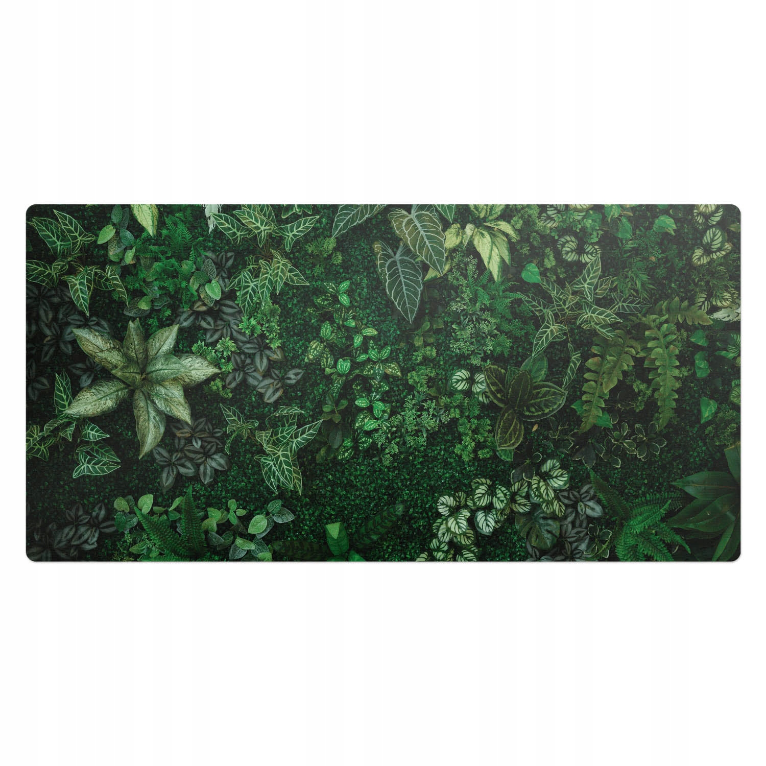 Podložka s grafikou na desku stolu Rostlinná nástěnná kompozice 100x50 cm