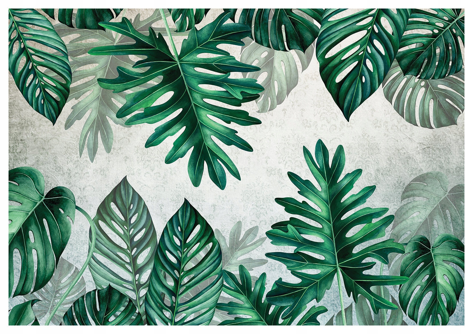 Fototapeta vlies Monstera a Filodendron tropické listy 400x280 lepidlo