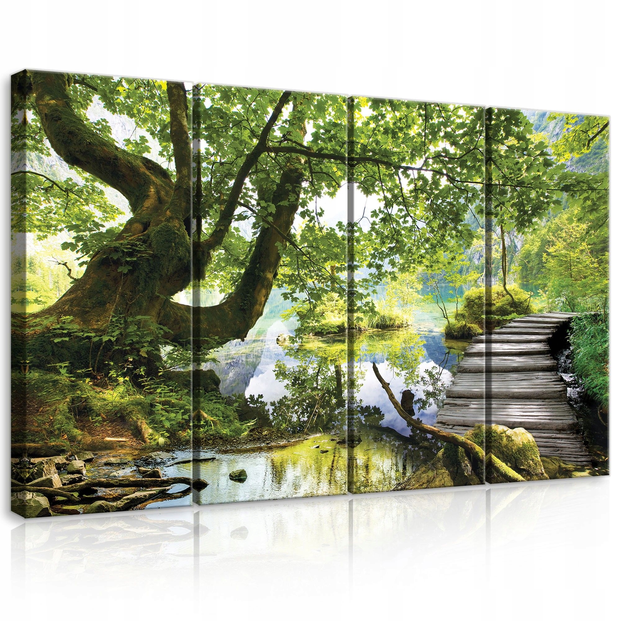 Obraz 120x80 Prírodná krajina jazero les cesta strom odraz pokoj