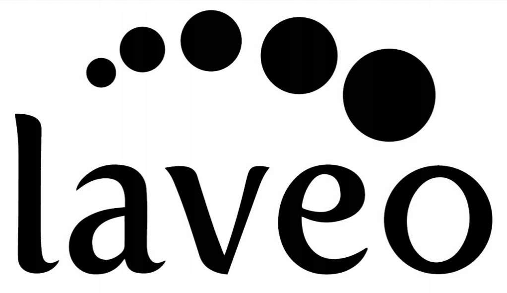 Laveo Preparat Do Pielęgnacji Armatury Kolorowej OKT051T Zastosowanie Środki do łazienek