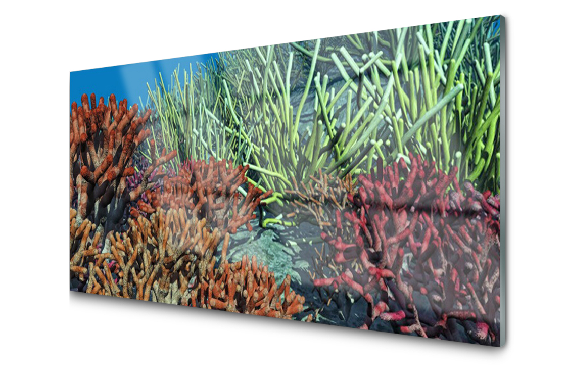 

Panel szklany Płytka Rafa Koralowa Morze 140x70