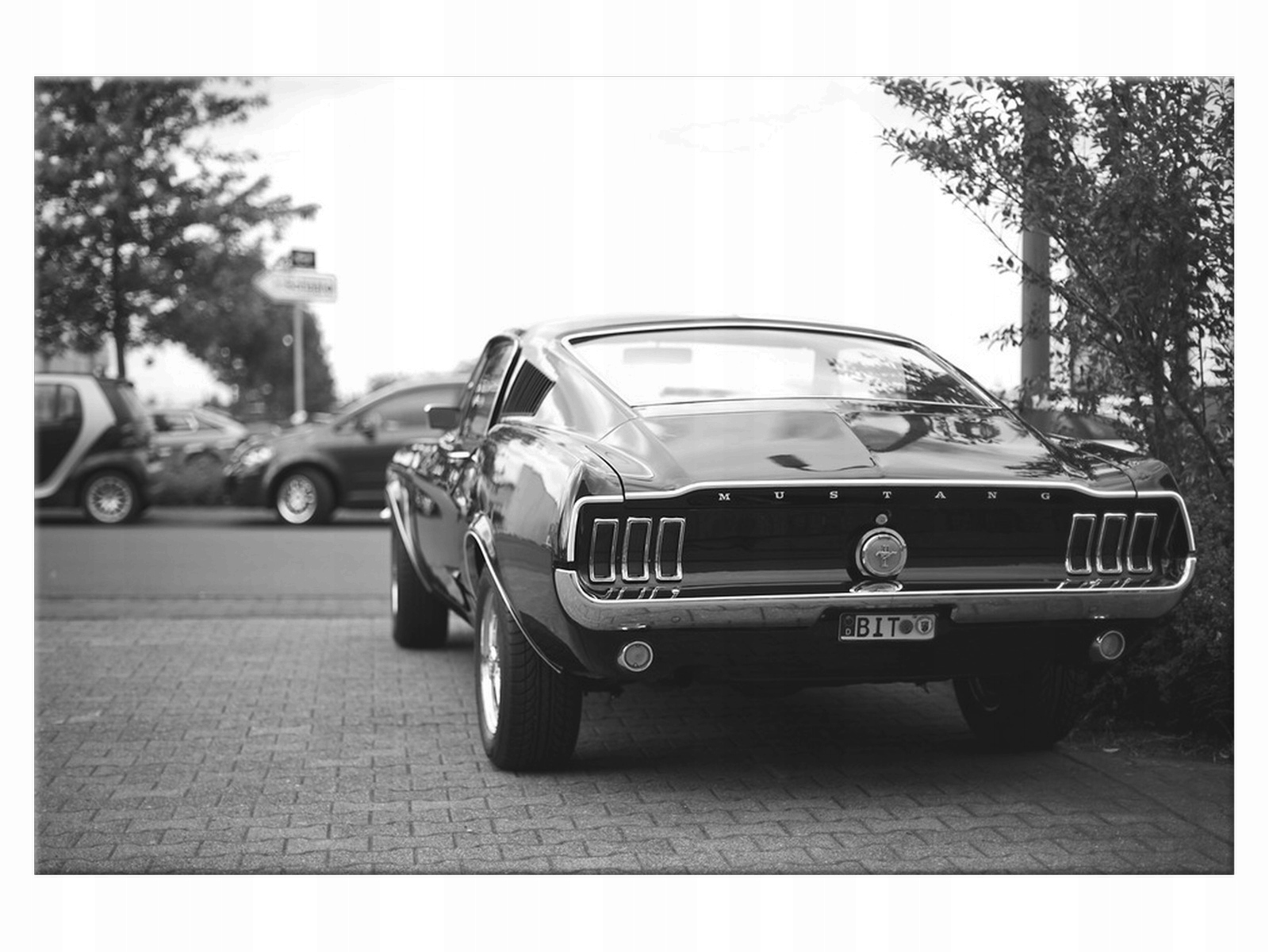 

Obraz Niemcy Classic Mustang 90x60 Samochód