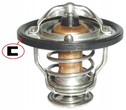 Termostat MAGNETI MARELLI 352317100810