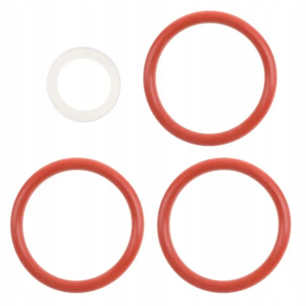 Delonghi Esam Etam Ecam Eam uszczelka zaparzacz