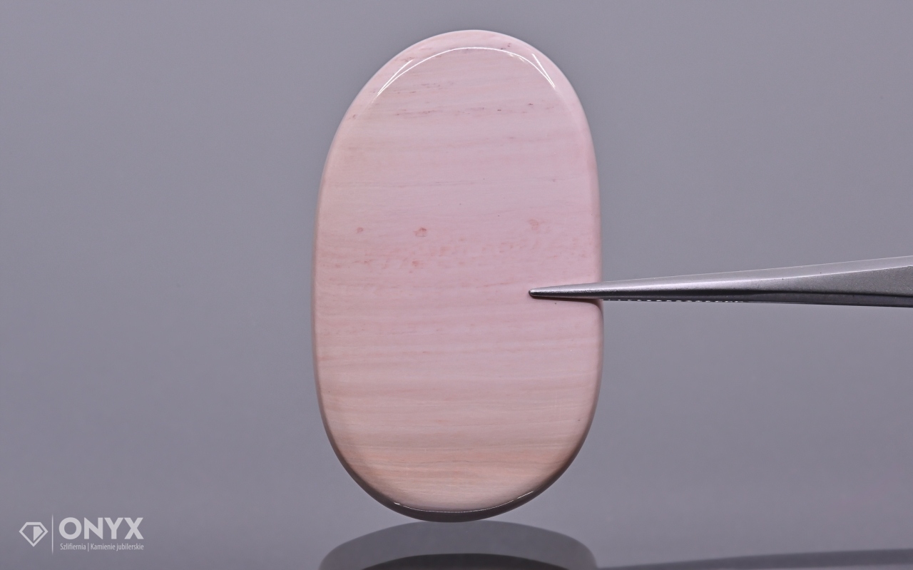 Zkamenělá palma konvexní nepravidelná dlažba 42x25 mm