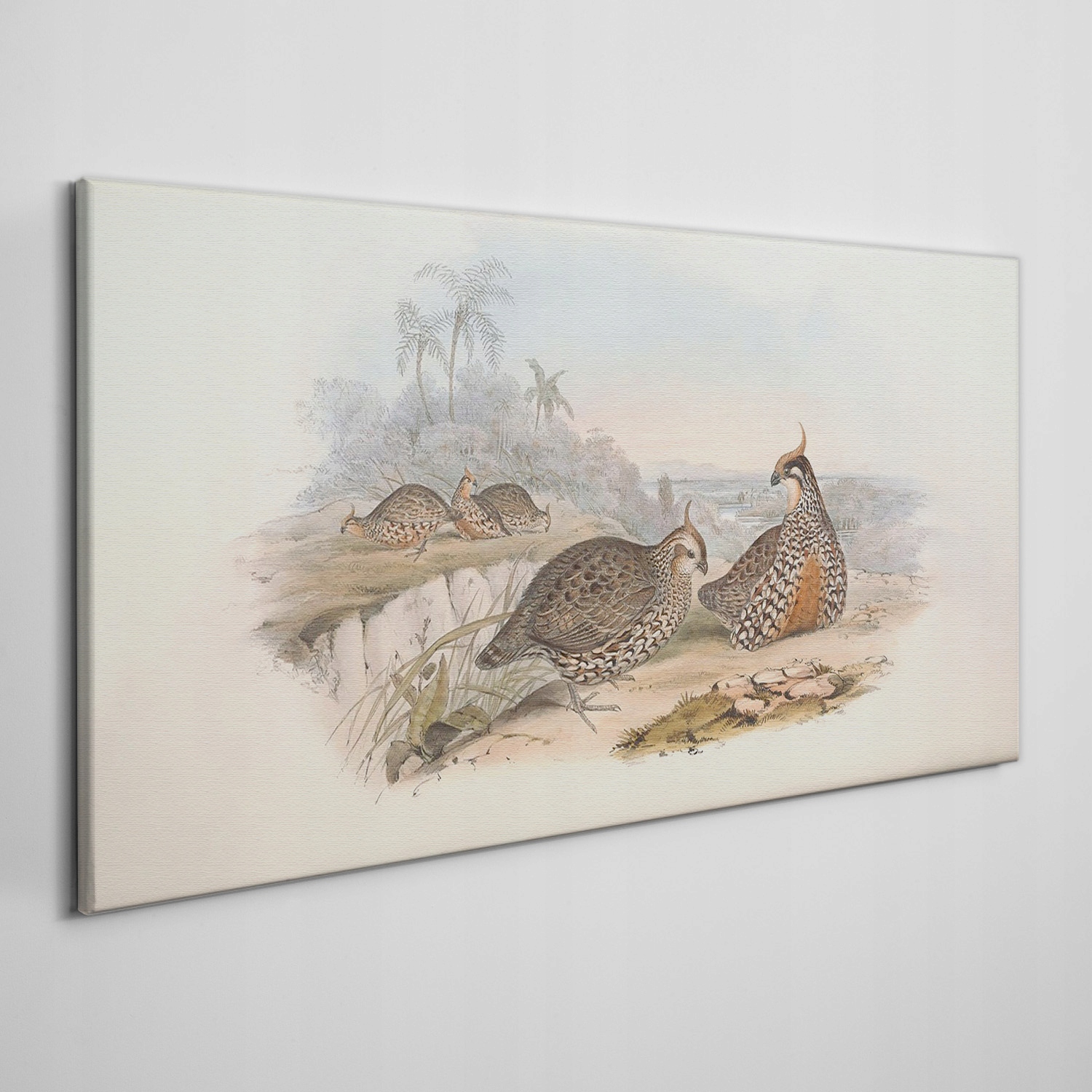 

Obraz na płótnie Ptaki zwierzęta, rysunek 140x70