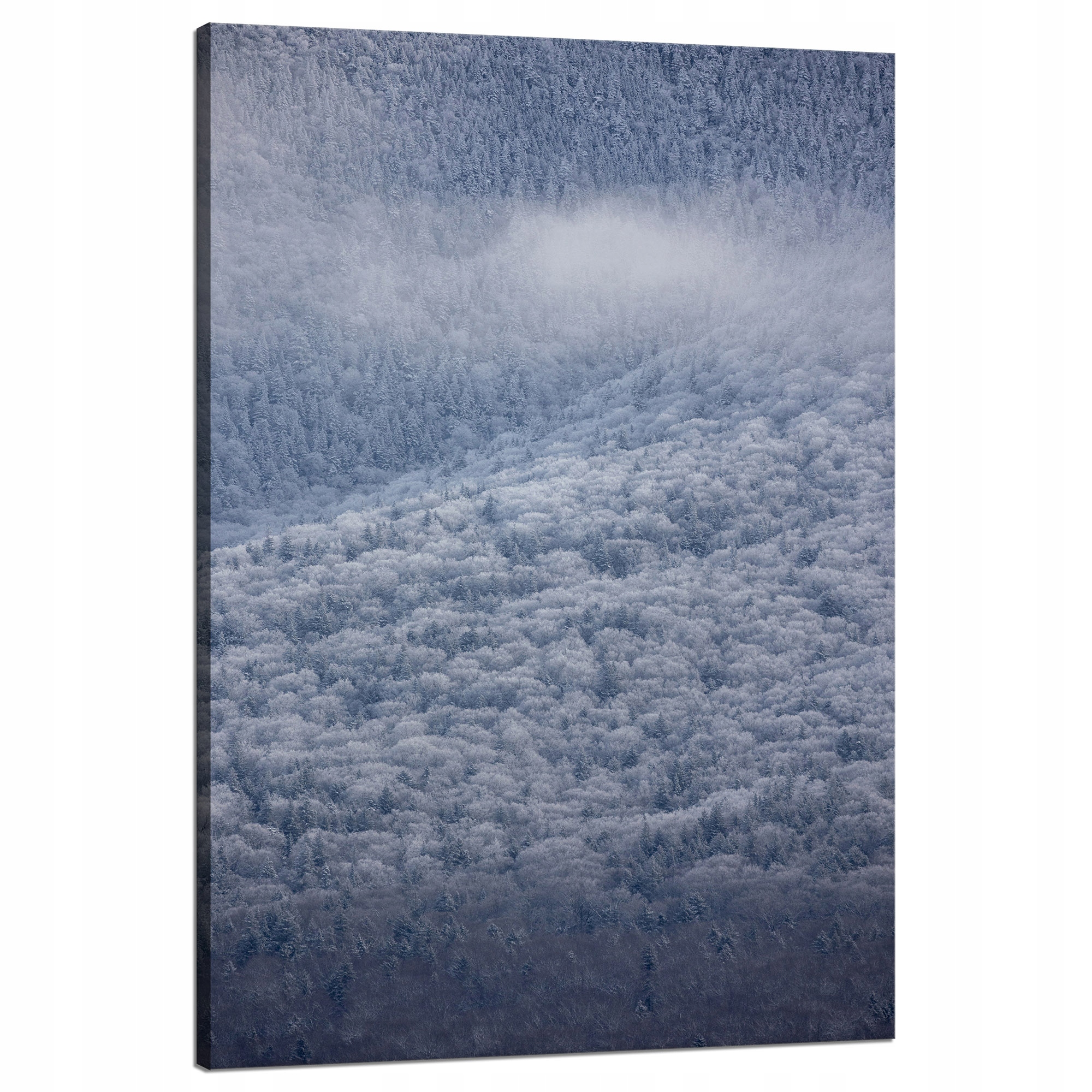 Obraz Canvas Příroda Zasněžený les Zima 80x120 cm