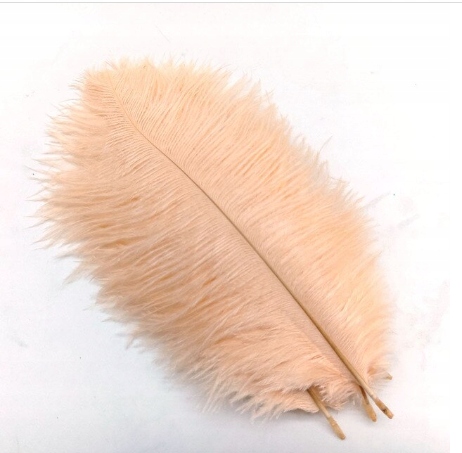 

Strusie pióro 45-50 CM brzoskwinia