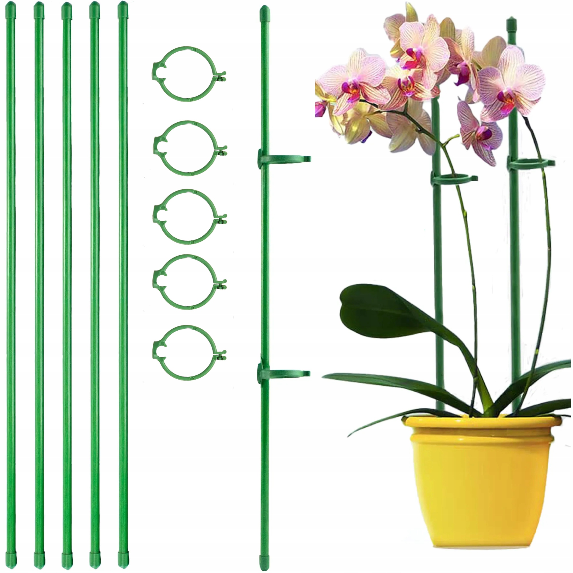 PODPORA DO ROŚLIN KWIATÓW PODPÓRKA WSPORNIK PODPÓRKI DO KWIATKÓW 60cm 5x
