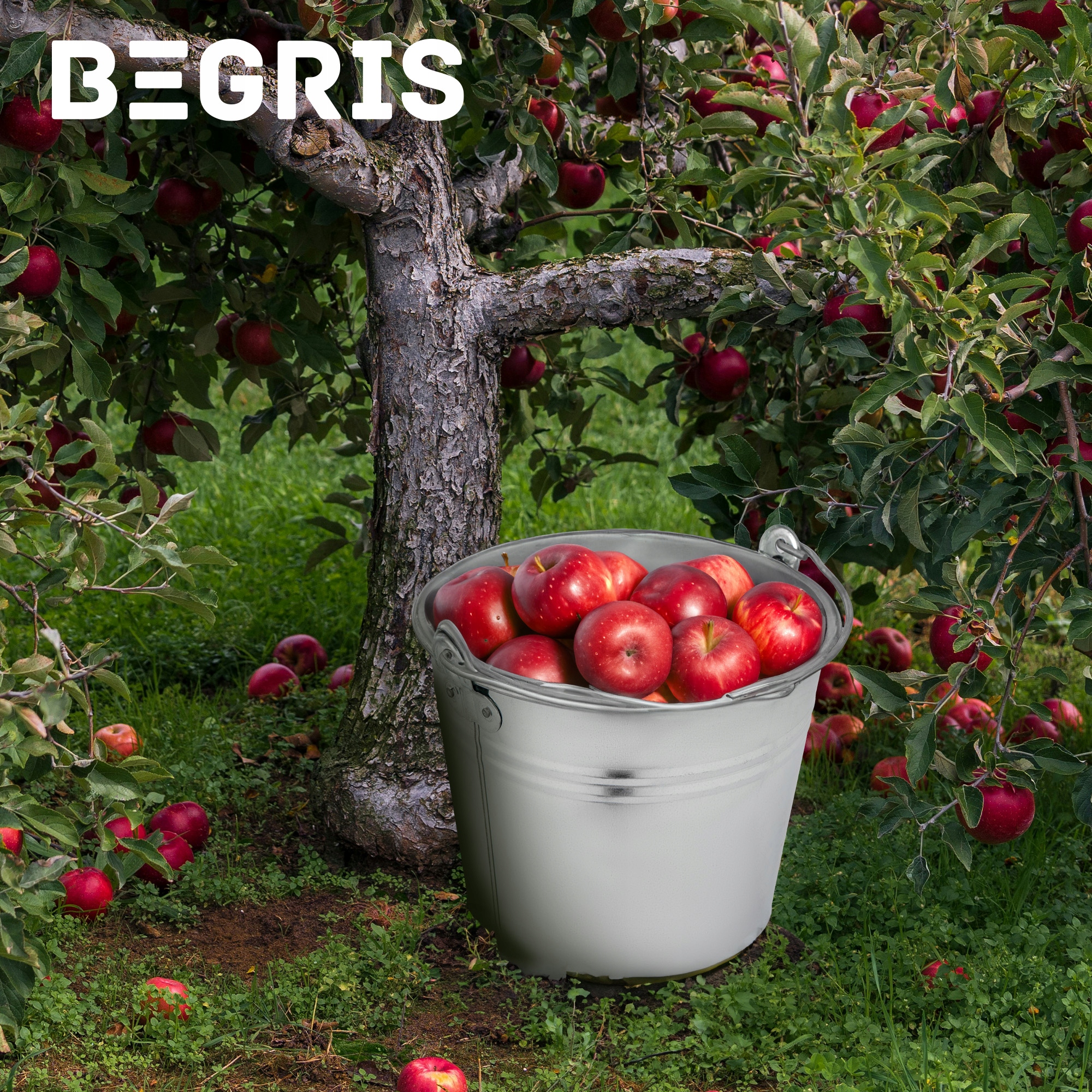 WIADRO METALOWE OCYNKOWANE 14L MOCNE OCYNK Rodzaj wiadro ocynkowane