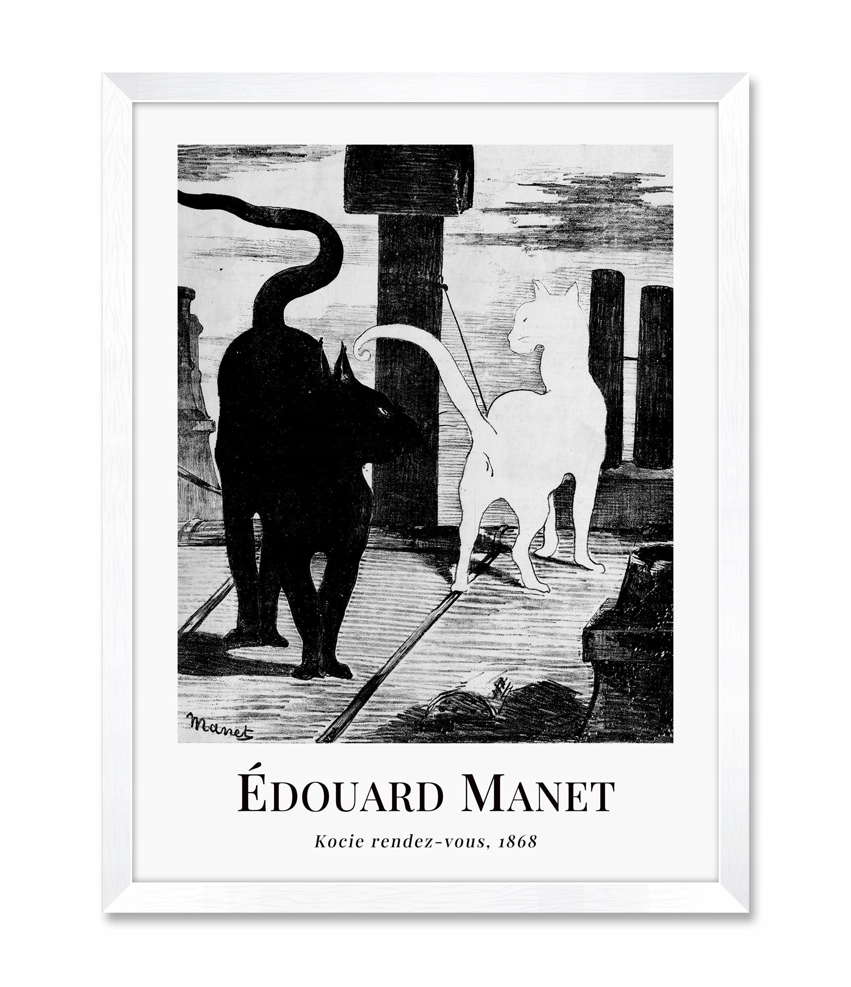 

Obraz na ścianę Biały Czarny Kot Koty reprodukcja