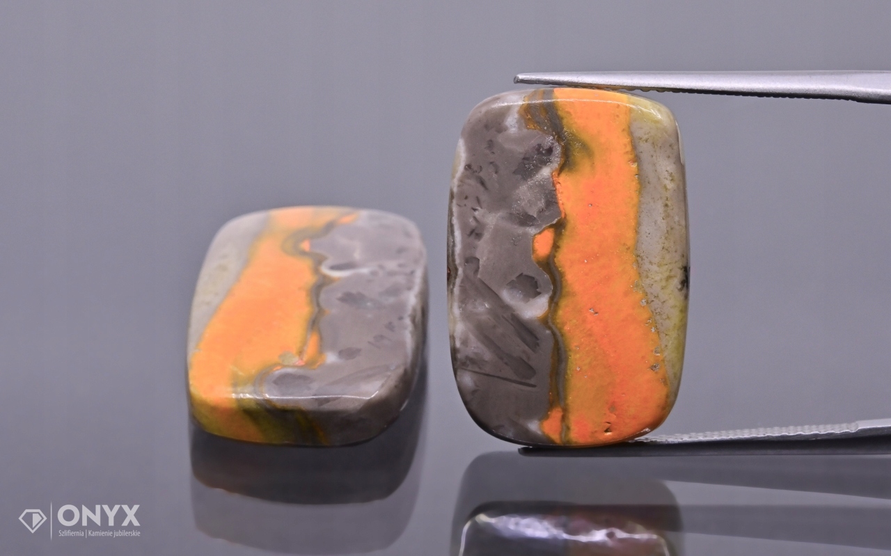 Jaspis Bumble Bee konvexní destička Para cushion 20x13,5 mm