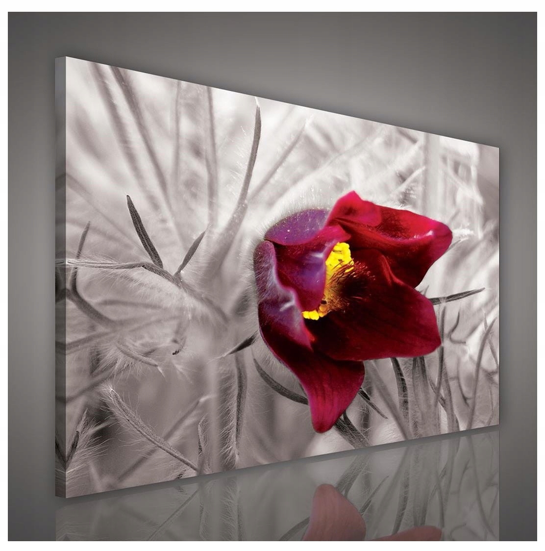 Obraz 100x75 Červený květ makro selektivní barva příroda elegance bokeh