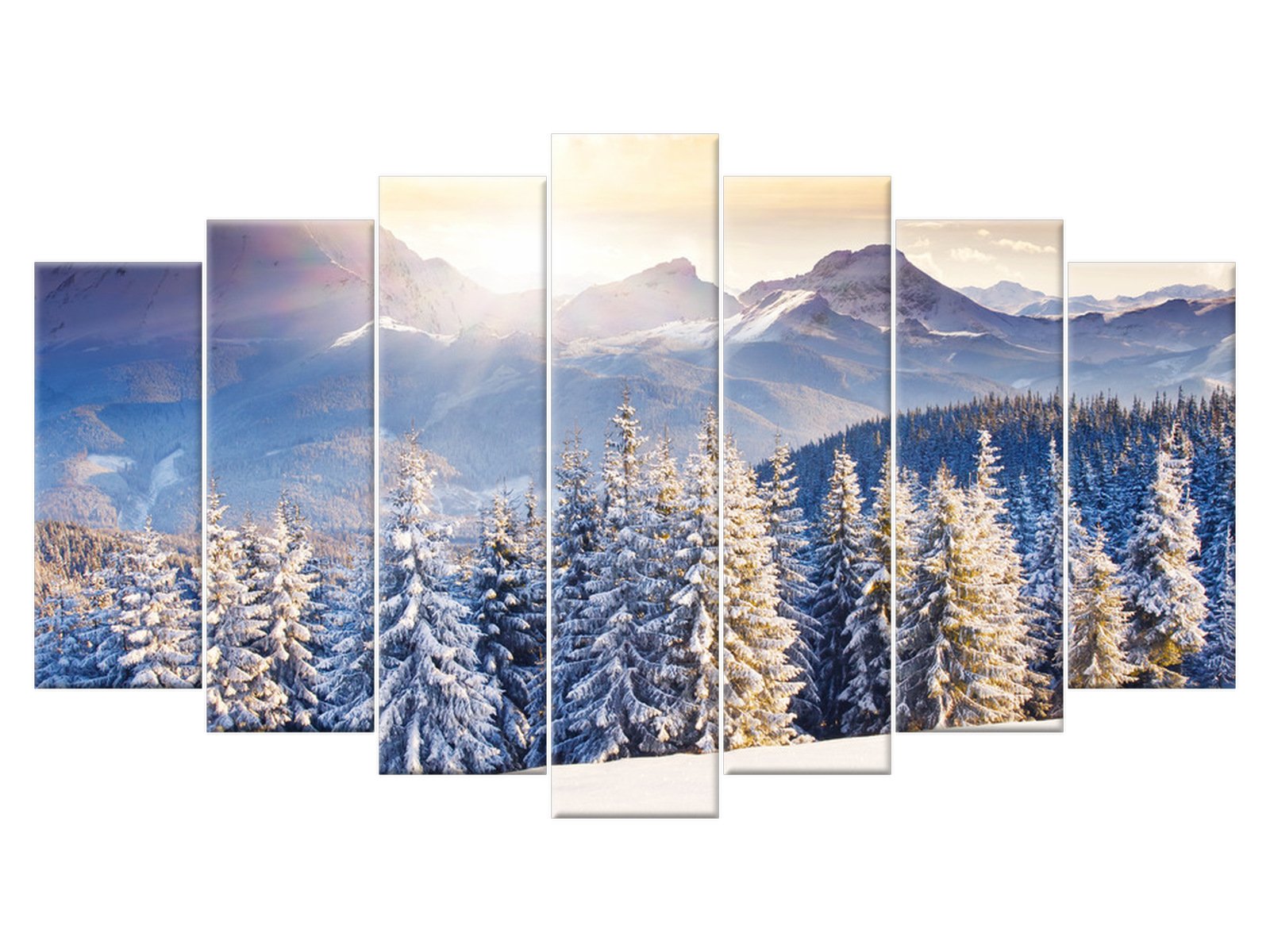 

Obraz Zima w górach 140x80 Pejzaż Rośliny salon