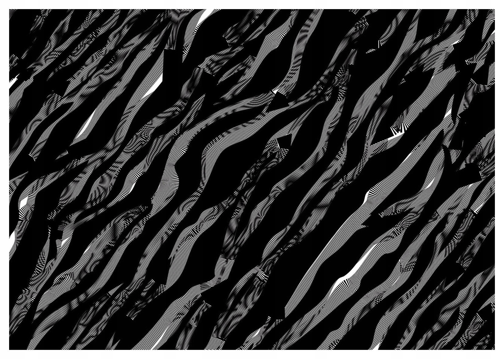 Tapeta Vlny abstrakce černobílé iluze moderní styl 208x146 lepidlo