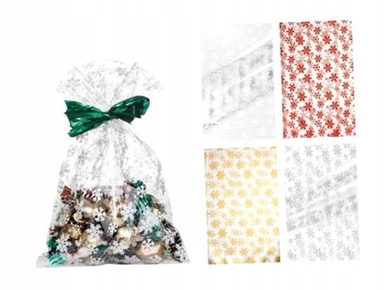 Sáček Bn 25X40 CM Frozen (100 Ks)