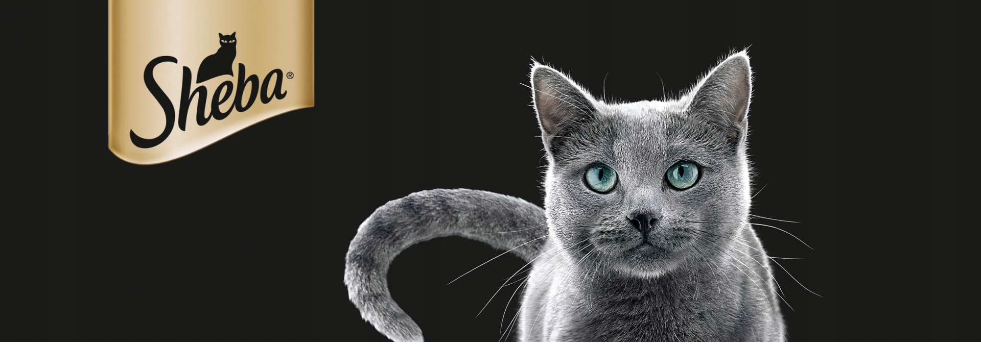 SHEBA SELECTION SELECT SLICES DROBIOWE SMAKI SASZETKI 40X85G Karmy specjalne nie dotyczy