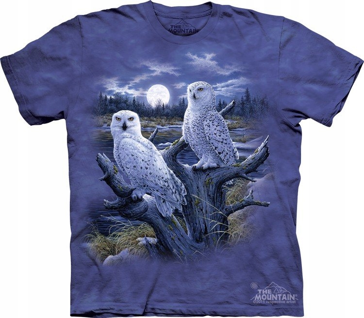 Snowy Owls The Mountain M
