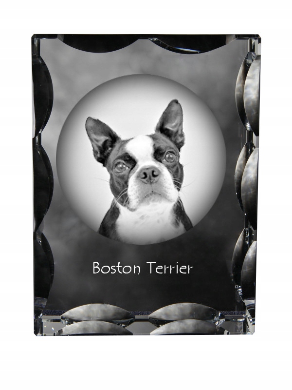 Bostonský teriér fotografia psa v ozdobnom kryštáli, suvenír, dekorácia domu