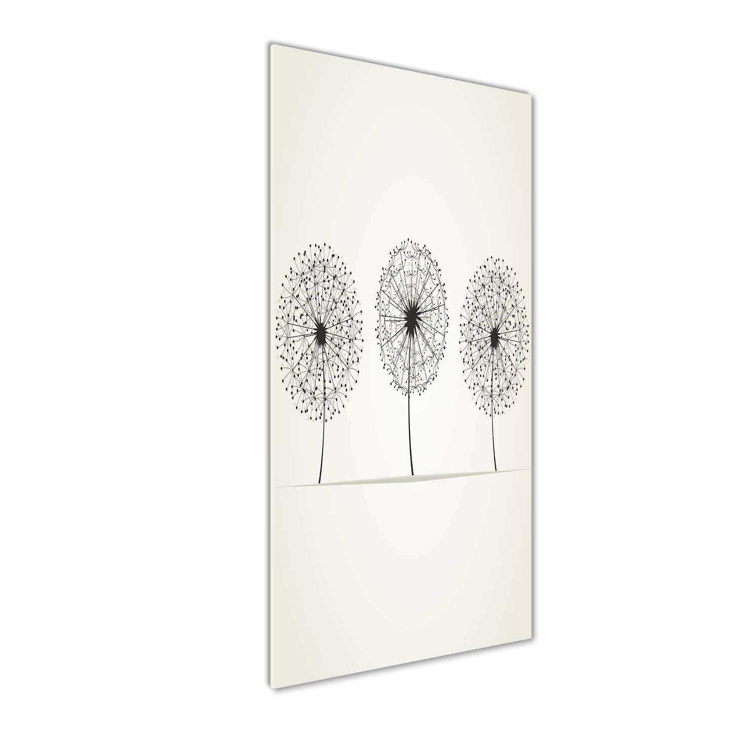 

Foto obraz akrylowy na ścianę Dmuchawce 50x125cm