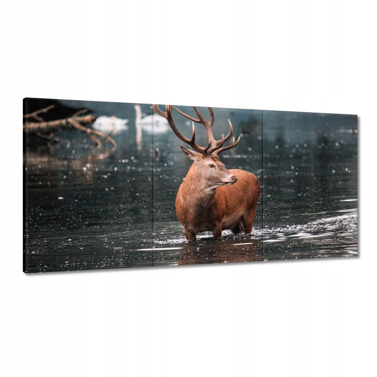 Obrazy 180x90 Jeleň Rogač