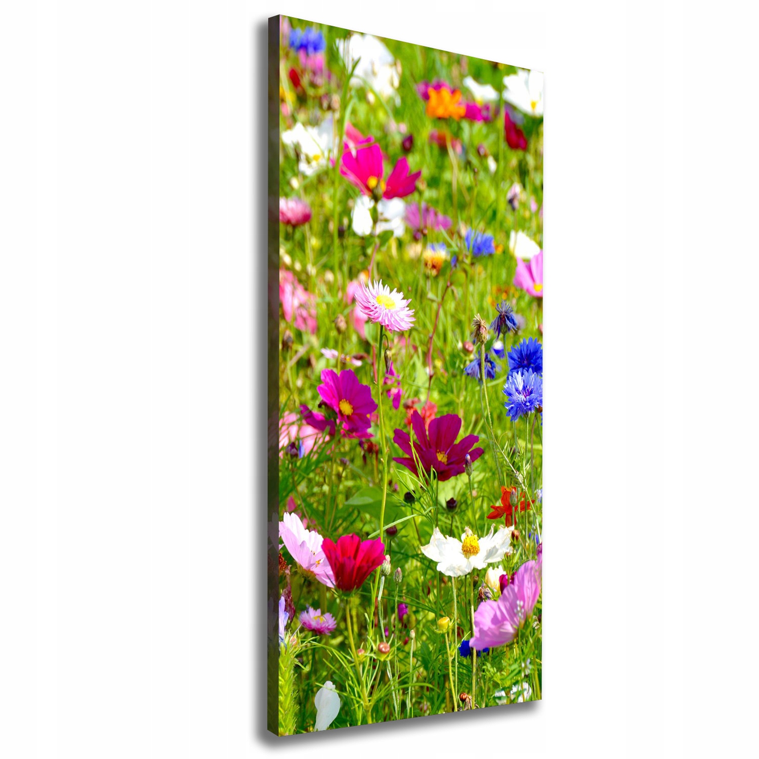 

Foto obraz canvas do salonu Polne kwiaty 50x125