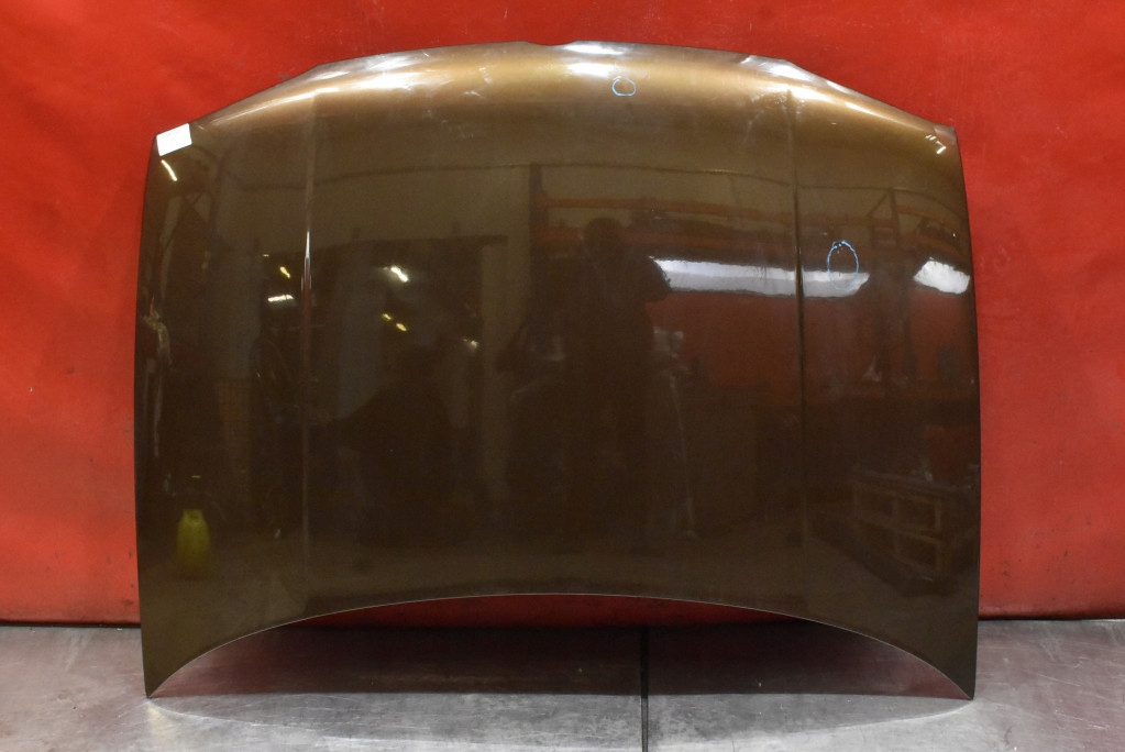 MASK engine housing cover BRAZOWA VW GOLF 4 IV 97-06