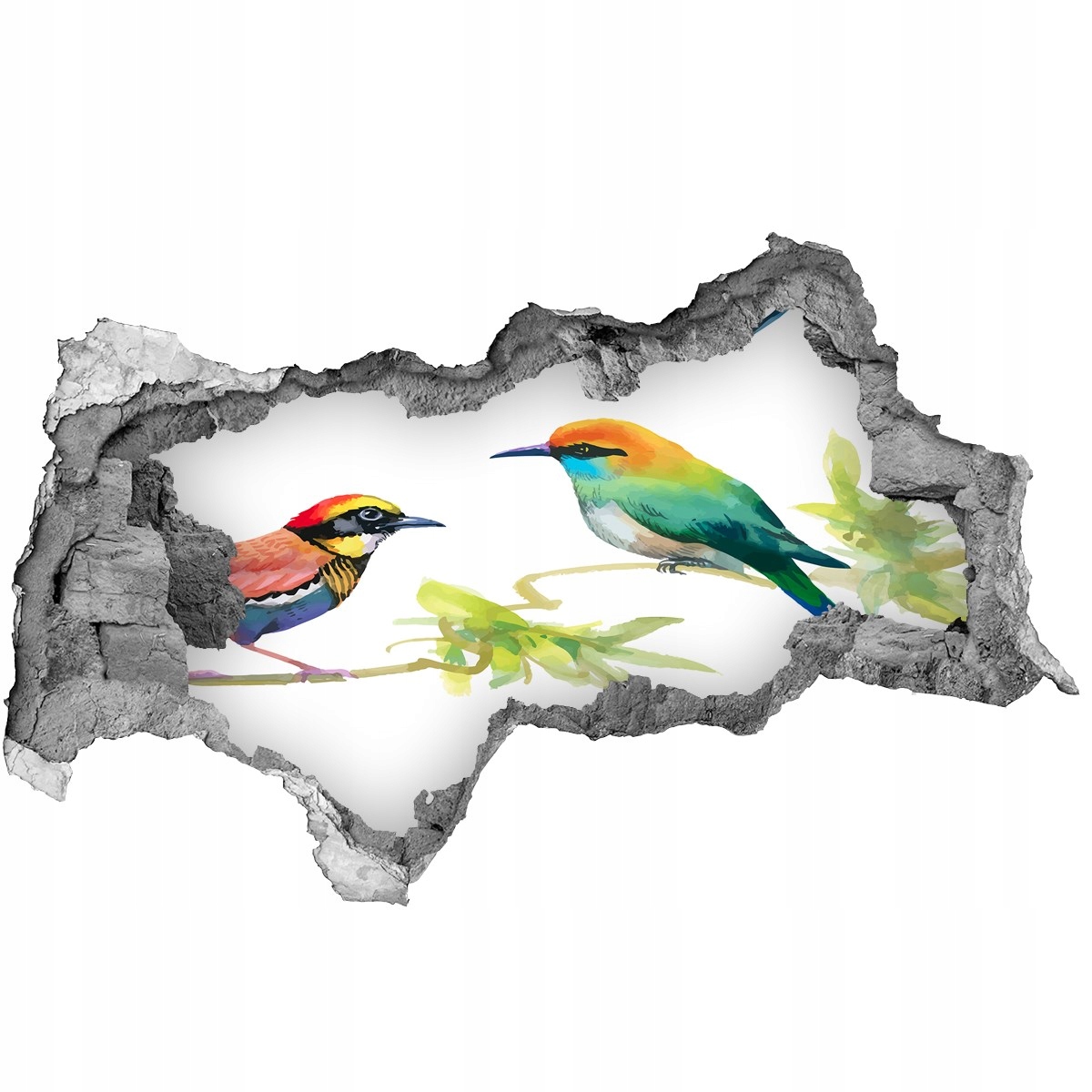 

Dziura 3d fototapeta na ścianę Egzotyczne ptaki