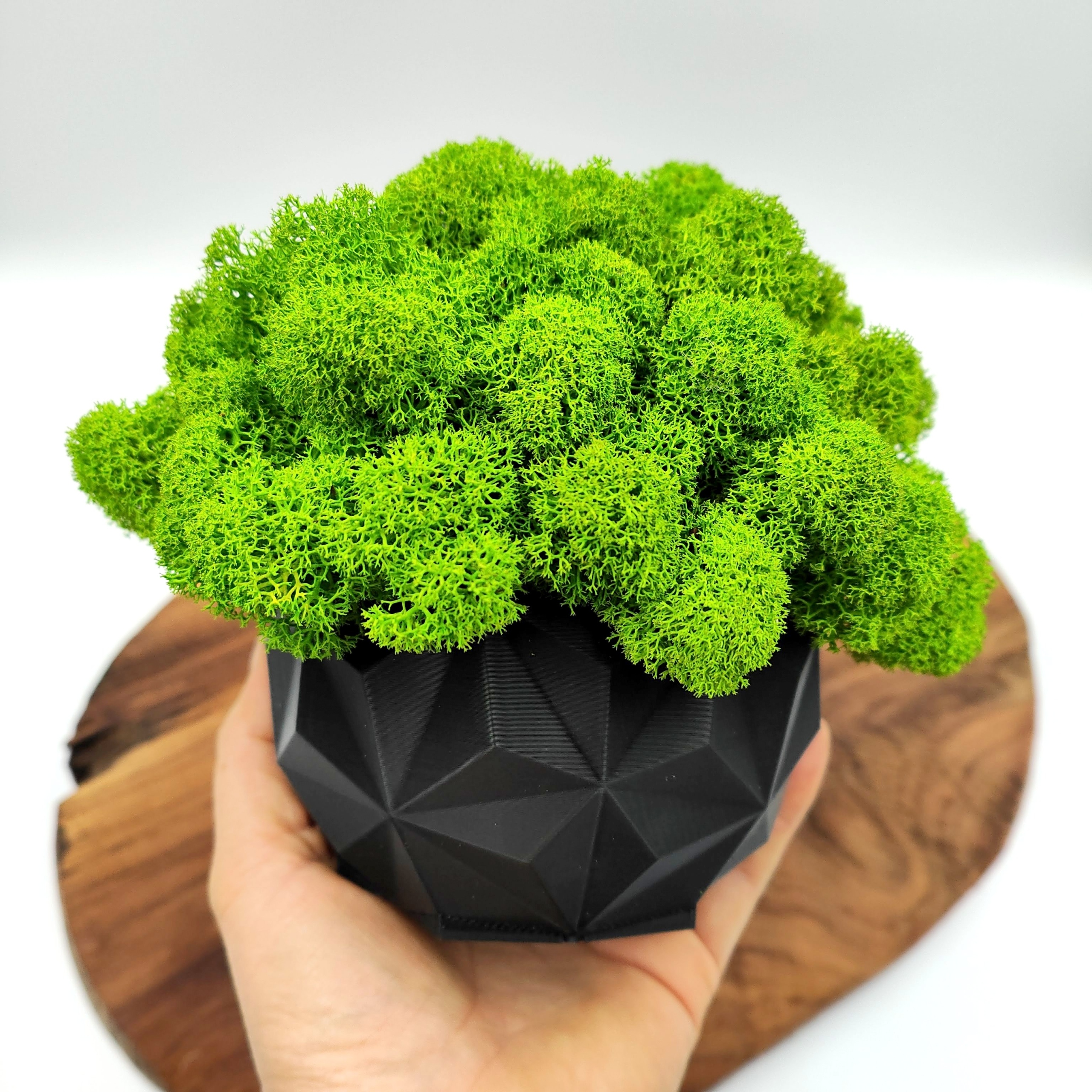 Doniczka z mchem chrobotkiem MECH CHROBOTEK w doniczce czarna druk 3d #2