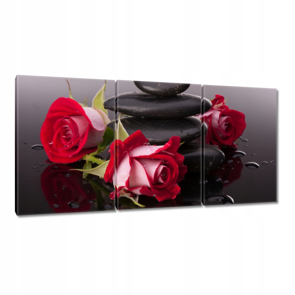 

Obrazy 120x60 Róże koło kamieni