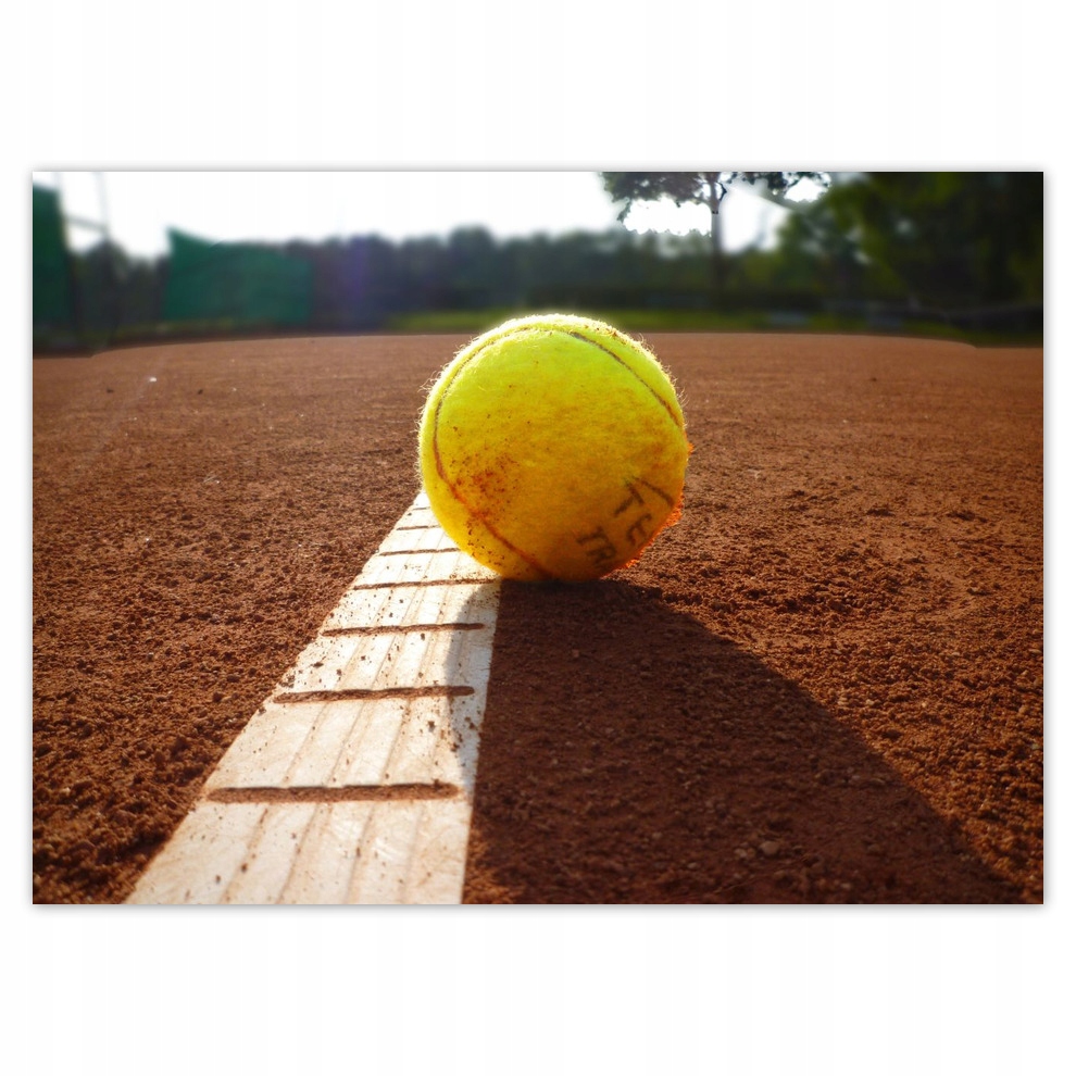 

Fototapety flizelina 254x184 Piłka tenisowa Kort