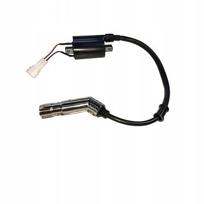 T38133 - КАТУШКА ЗАЖИГАНИЯ (ZONTES ZT 310-X)