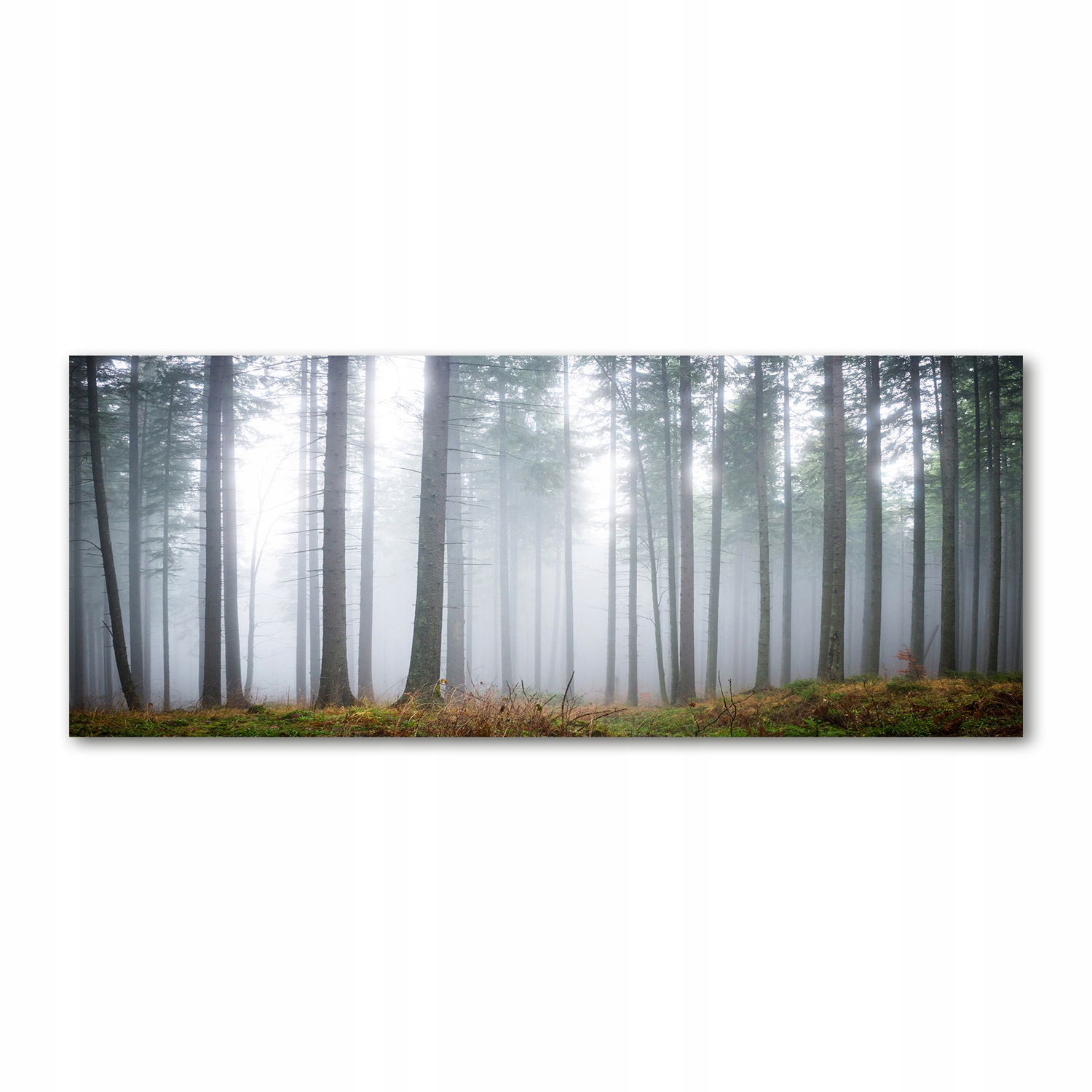 

Foto obraz akryl zdjęcie Mgła w lesie 125x50 cm