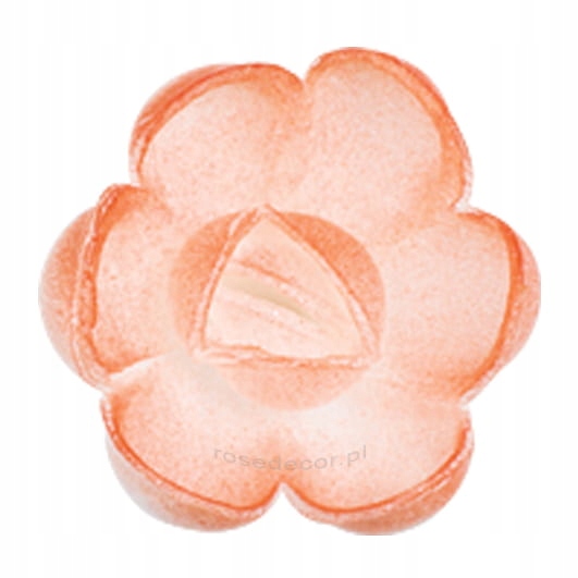 Waflowa Róża angielska Łososiowa cieniowana mała 70szt