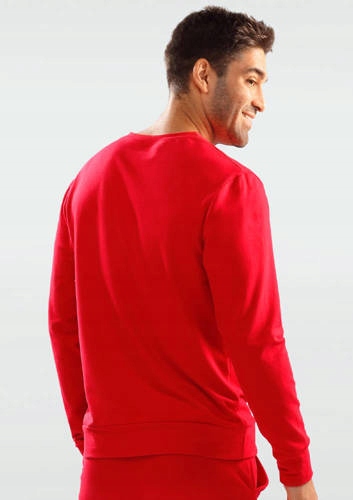 Justin Pánská mikina Dkaren