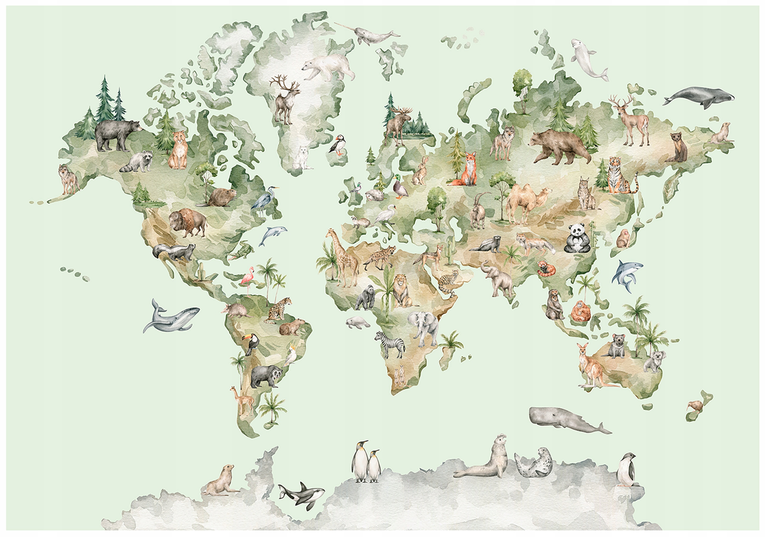 Fototapeta Pro Děti Mapa Světa Zelená Tapeta Do Dětského Pokoje 312x219
