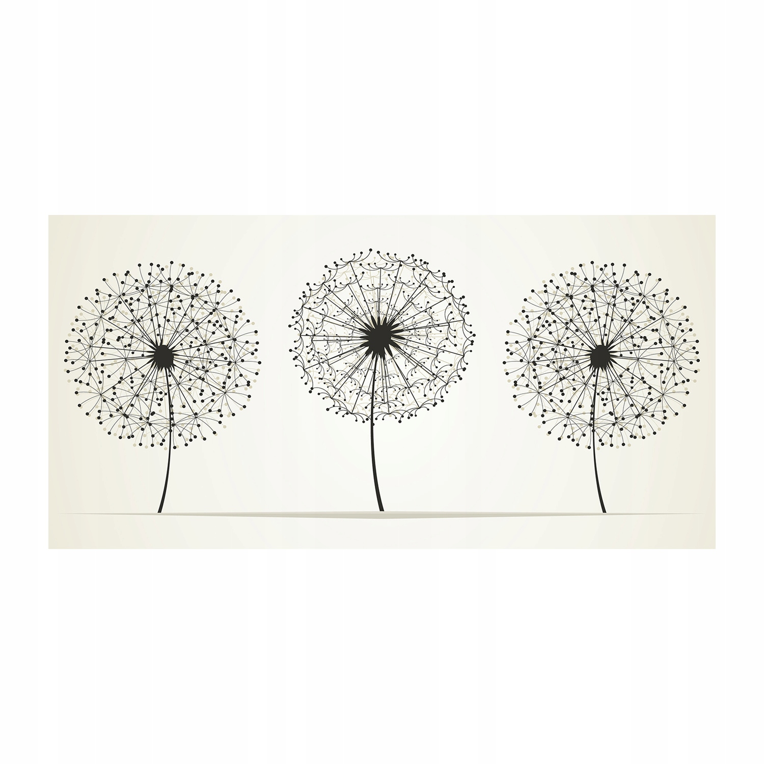 

Foto obraz szkło hartowane Dmuchawce 140x70