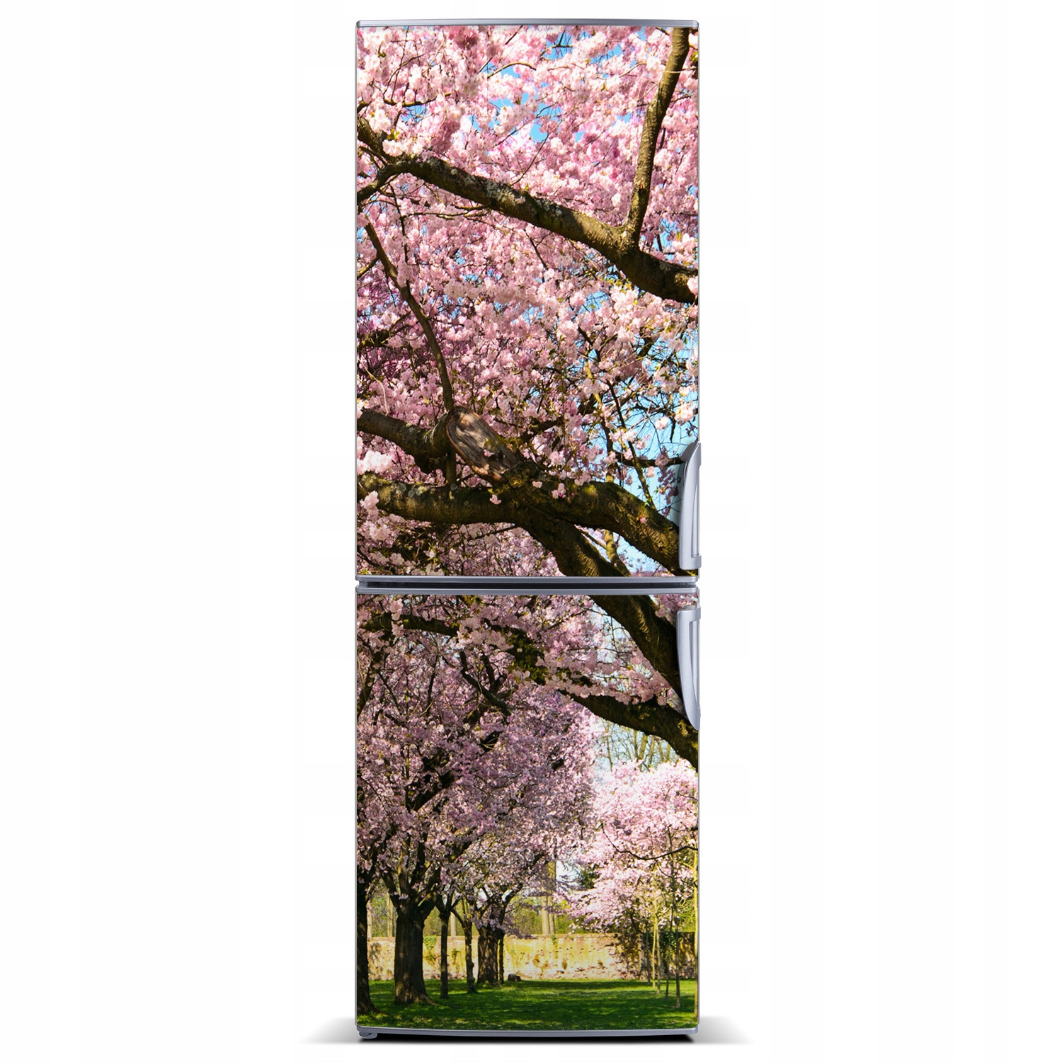 

Magnes fototapeta na lodówkę Drzewa wiśni 60x180