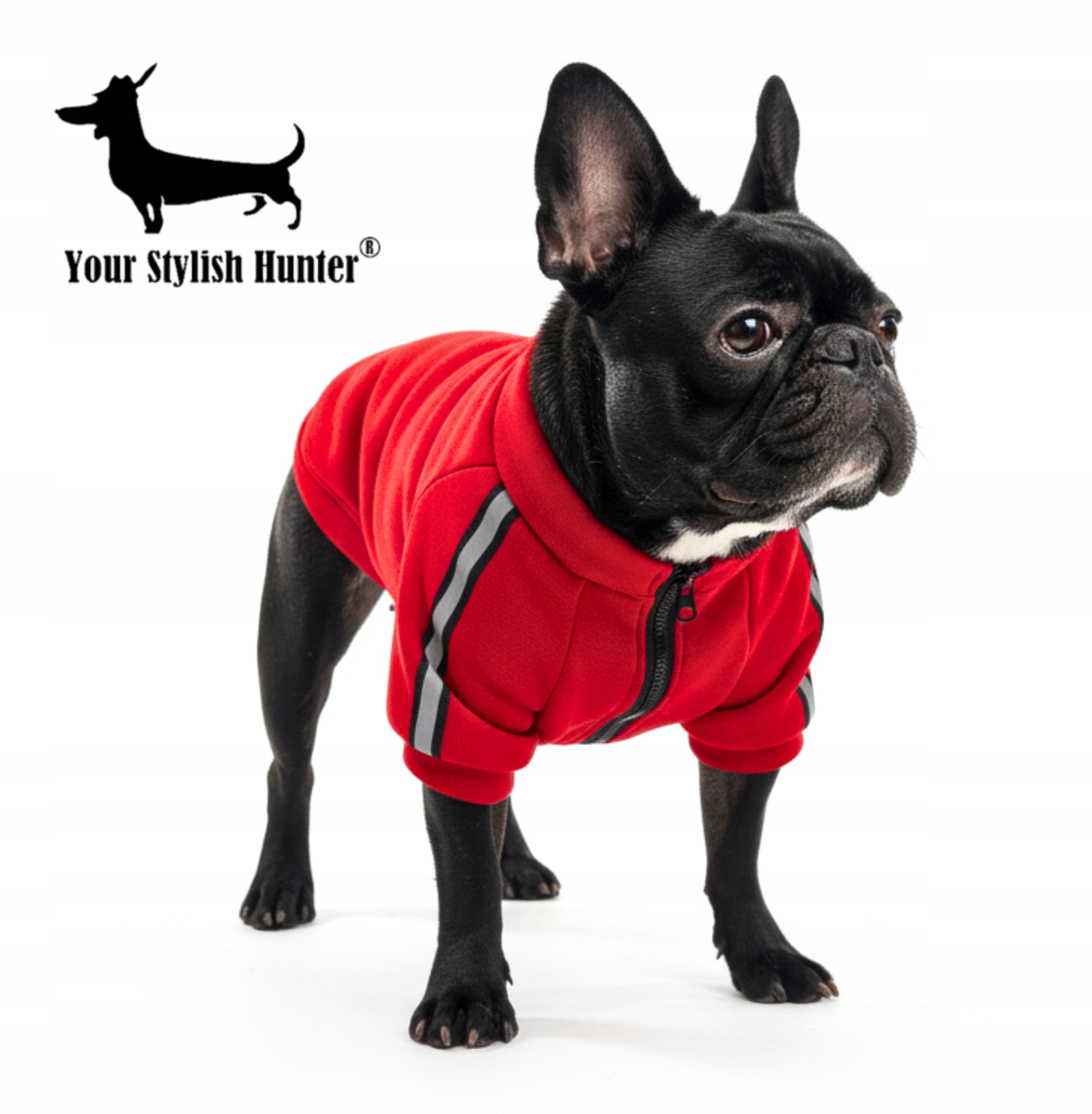 Levně Tepláková mikina s odrazkami, obleček pro psa francouzského buldočka a další plemena, velikost XL