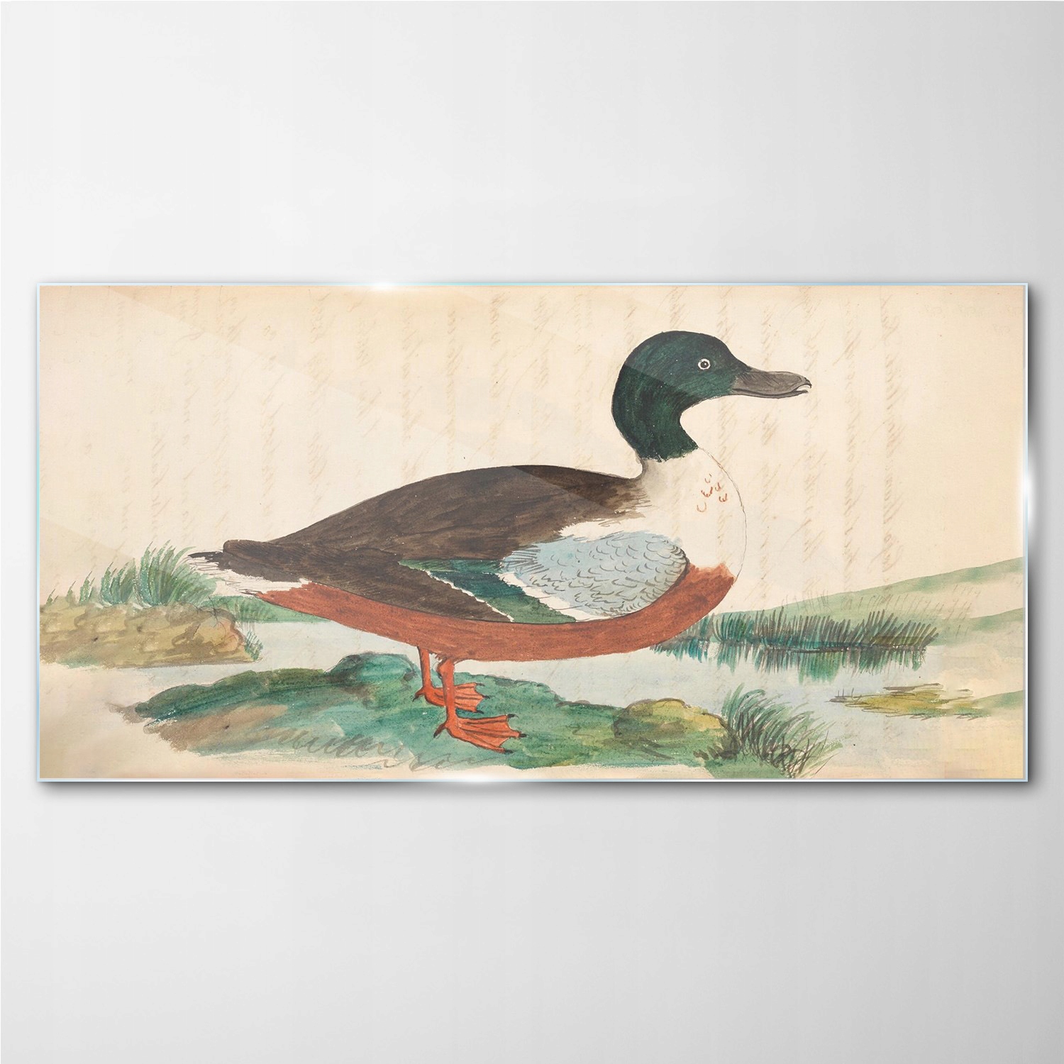 

Obraz szklany z nadrukiem Ptak rysunek 100x50 cm