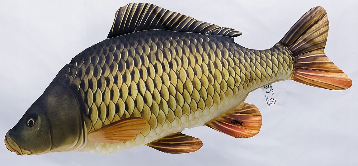 

Maskotka Ryba Karp pełnołuski Mini - 36cm
