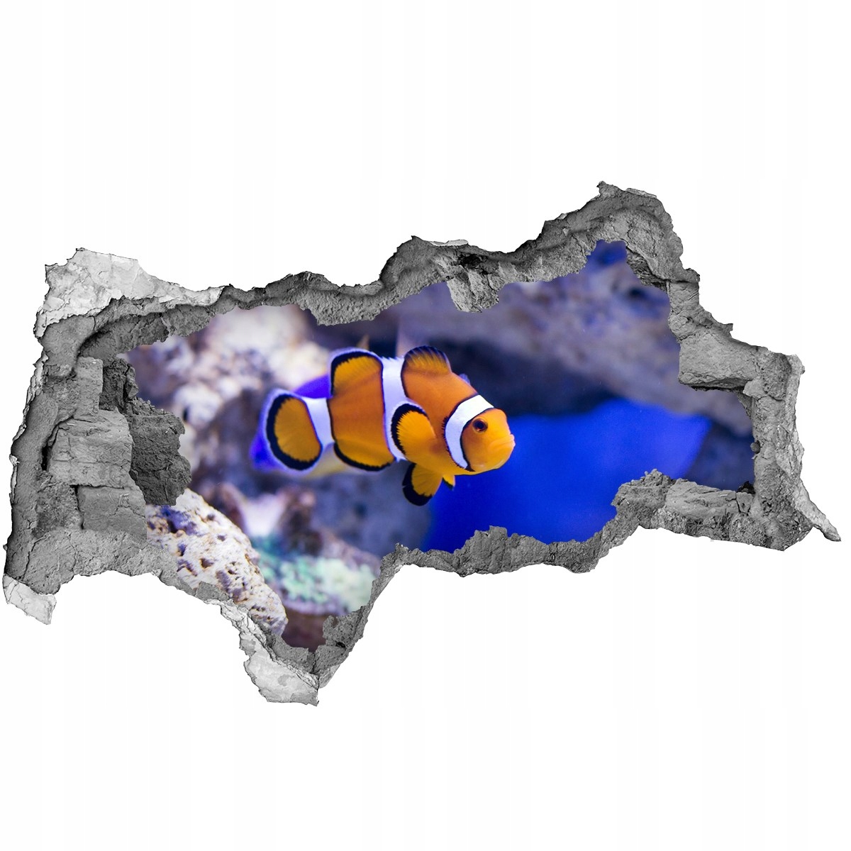 

Dziura 3d fototapetaBłazenek rafa koralowa 115x88