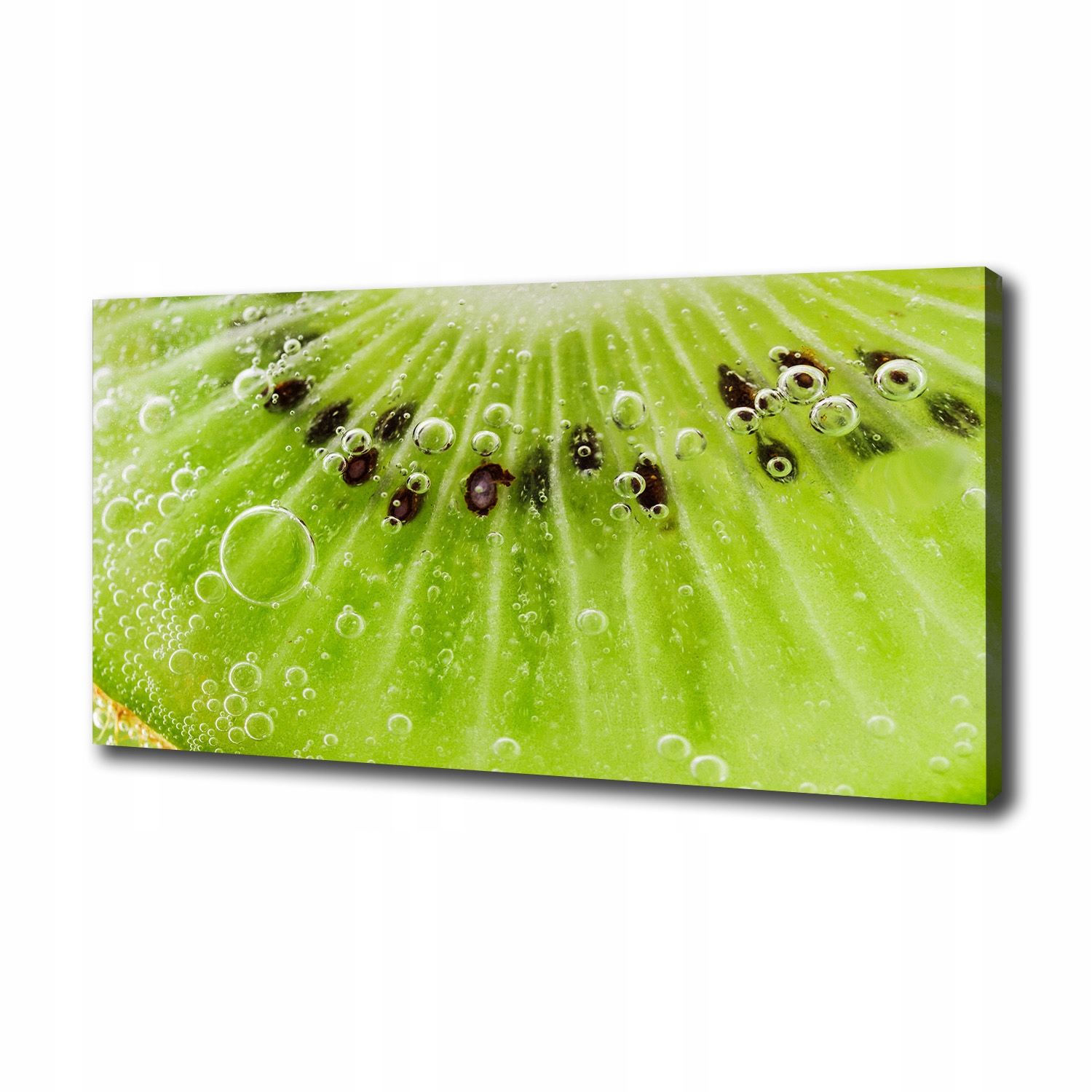 

Nowoczesny obraz na płótnie zdjęcie Kiwi 100x50 cm